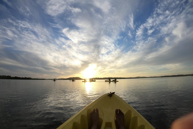 Madu River Sunrise Mangrove Kayaking from Bentota - Weather, Wind, and the Feel of the River