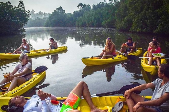 Madu River Sunrise Mangrove Kayaking from Bentota - Who Will Enjoy This Best