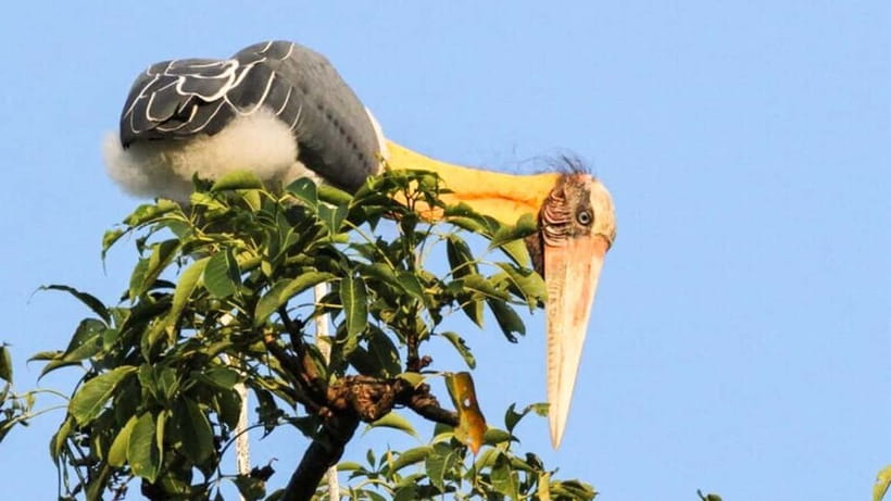 Maduru Oya National Park Private Safari - The $40 price and the extra park fee