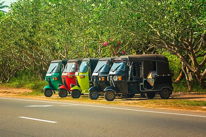 Majestic Sri Lanka in 13 Days All Inclusive VIP Tour by Sithiyam - Yala adds a second chance for wildlife