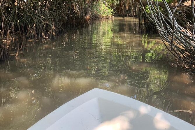 Mangrove Adventure - A closer look at the one-stop itinerary
