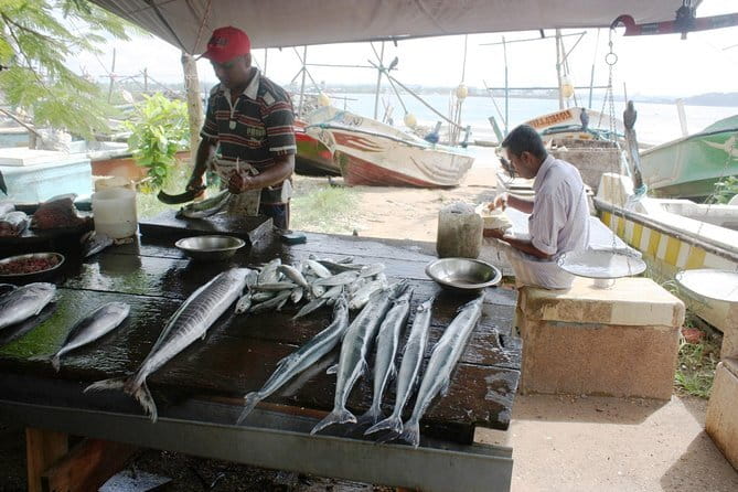 Market Tour and Sri Lankan Cooking Class inside Galle Fort - A two-hour cooking class with Meena