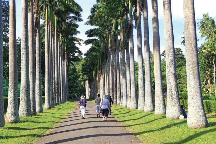 Memorable Tuk Tuk City Tour of Kandy - Key points to know before you book