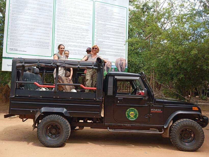 Minneriya: Elephant Safari at Minneriya Park - Hotel Pickup - Is the $71 minimum total good value?