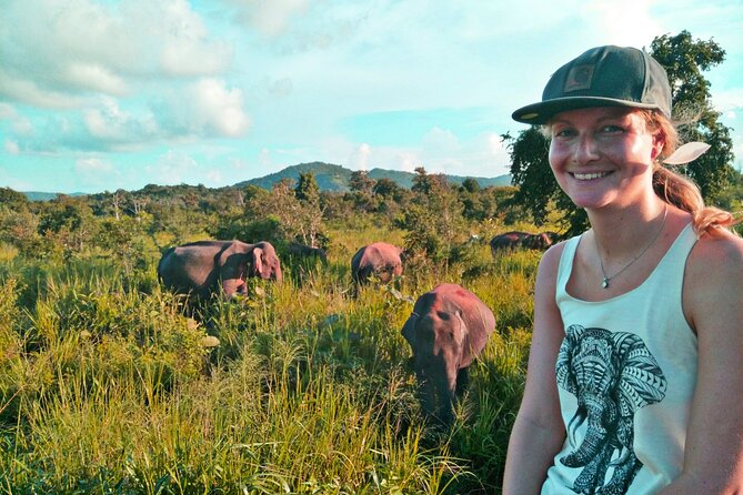 Minneriya / Kaudulla National Park Jeep Safari - Watching elephants near the reservoir