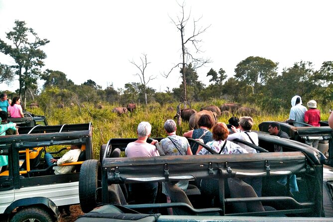 Minneriya / Kaudulla National Park Jeep Safari - Inside the private 4x4 jeep