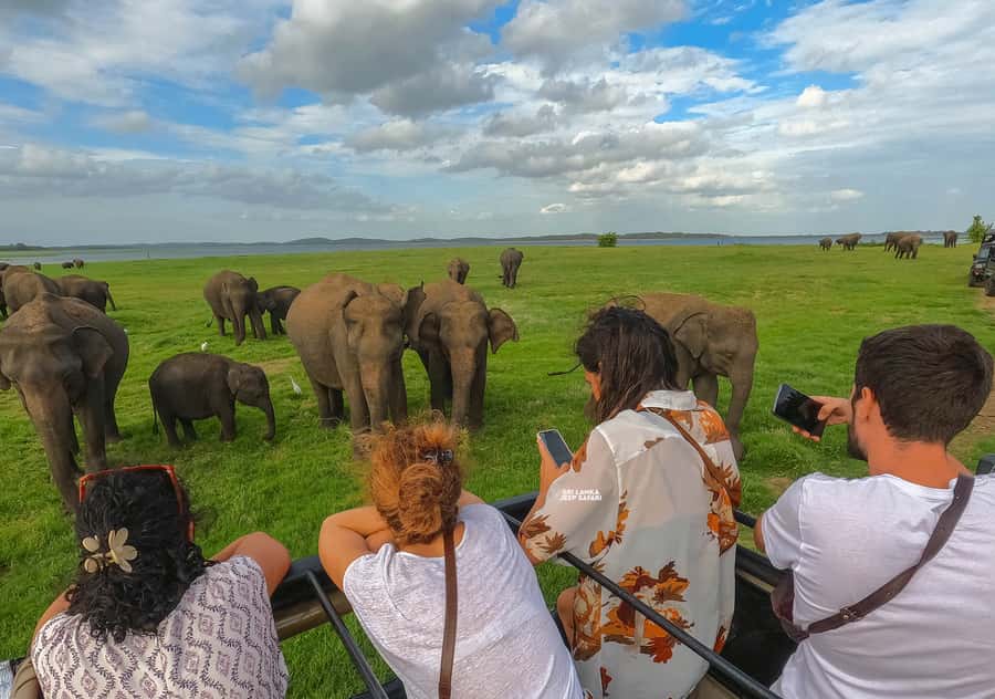 Minneriya: Minneriya National Park Private Elephant Safari - Booking flexibility and practical details