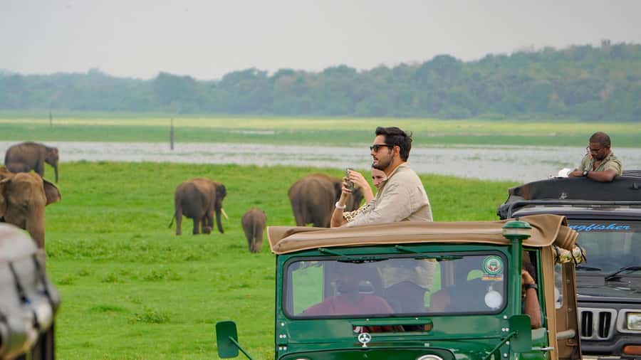 Minneriya: Minneriya National Park Private Evening Safari - What the drive through Minneriya feels like