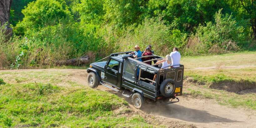 Minneriya: Minneriya National Park Private Safari - What the cost includes and what it does not