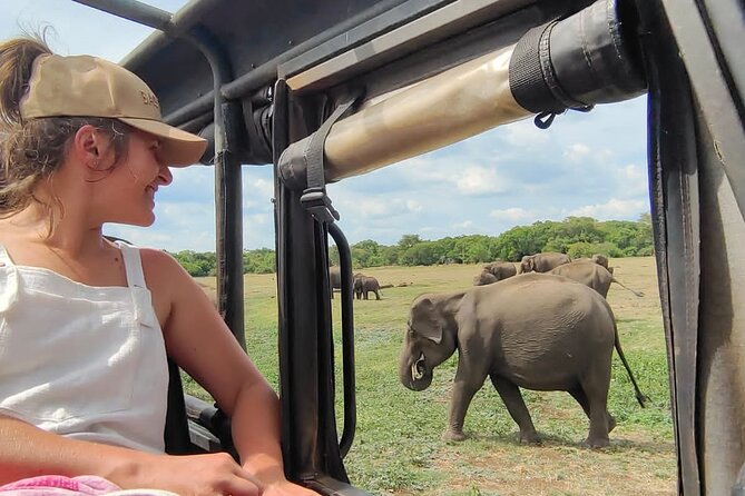 Minneriya National Park Elephant Jeep Safari Private Tour - Key points to know before booking