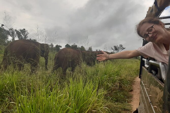 Minneriya National Park Elephant Jeep Safari Private Tour - Why Minneriya is a strong place to look for elephants