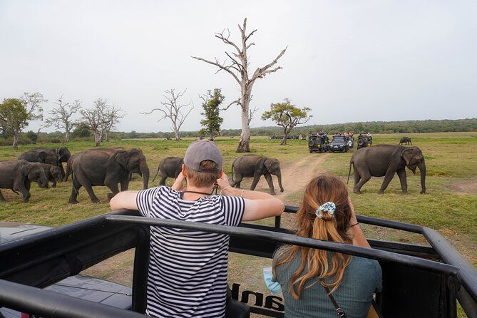 Minneriya National Park Half Day Elephant Safari - Three hours among forest, grassland, and water