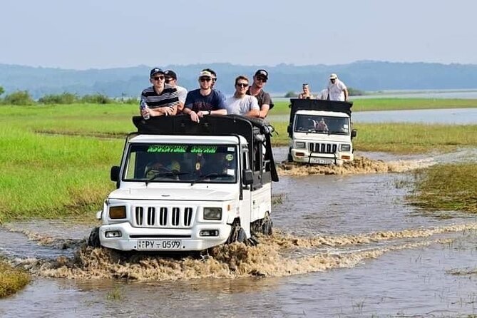 Minneriya National Park halfday Safari - What the Minneriya safari is really about