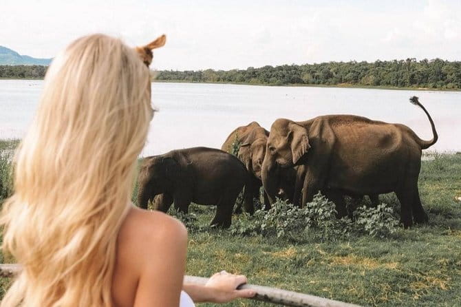 Minneriya National Park Private Safari - Choosing the right three-hour start