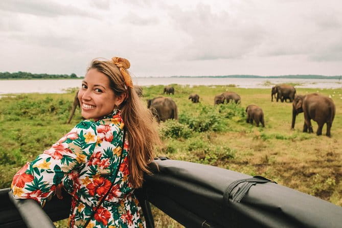 Minneriya National Park Private Safari - What the $30 price really includes