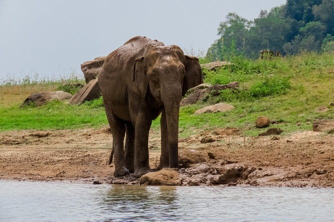 Minneriya National Park Safari from Polonnaruwa - What the private jeep changes