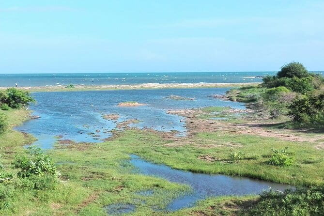 Minneriya National Park Safari | Jeep with Tickets - Minneriya’s wetlands, forest, and rocky ground