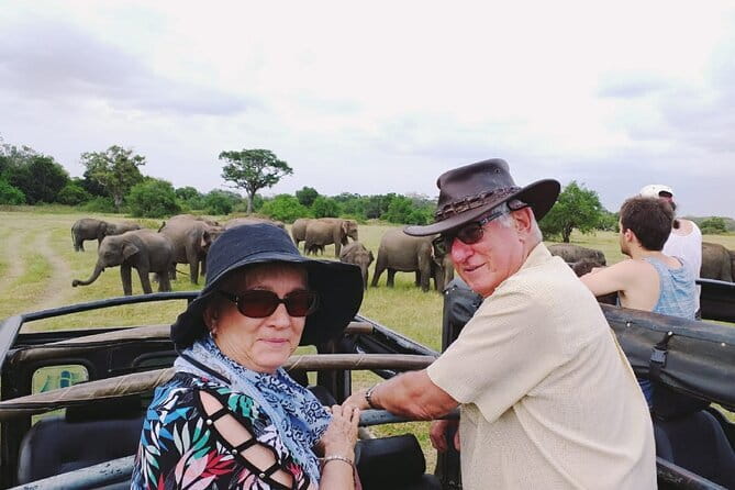 Minneriya National Park Safari [private , full package] - How private touring changes the experience