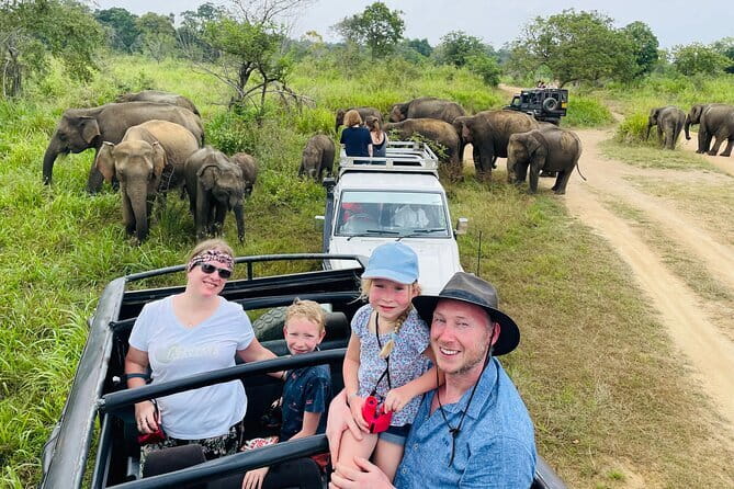 Minneriya National Park Safari - Private Jeep with Hotel Pickup - Key points before you book