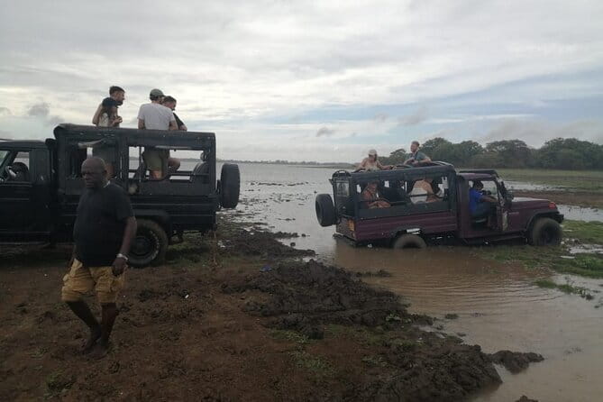Minneriya National Park Safari - Private Jeep with Hotel Pickup - The value of a $25 private safari