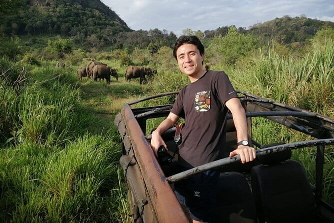 Minneriya National Park Safari - Private Jeep with Hotel Pickup - Morning or afternoon: choosing the better safari time