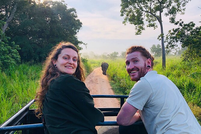 Minneriya National park Safari Sri Lanka - What animal sightings may be like