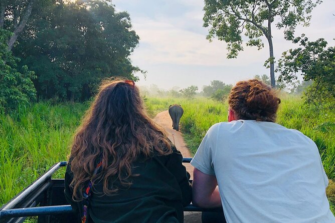 Minneriya National park Safari Sri Lanka - Why a private vehicle changes the experience