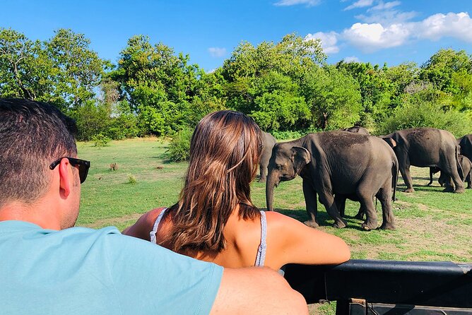 Minneriya National park Safari Sri Lanka - The park entrance fee is the key cost detail