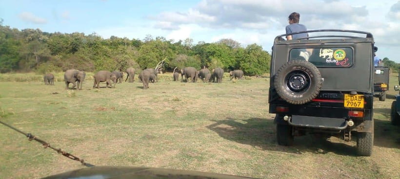 Minneriya National Park Safari - The three-hour jeep ride