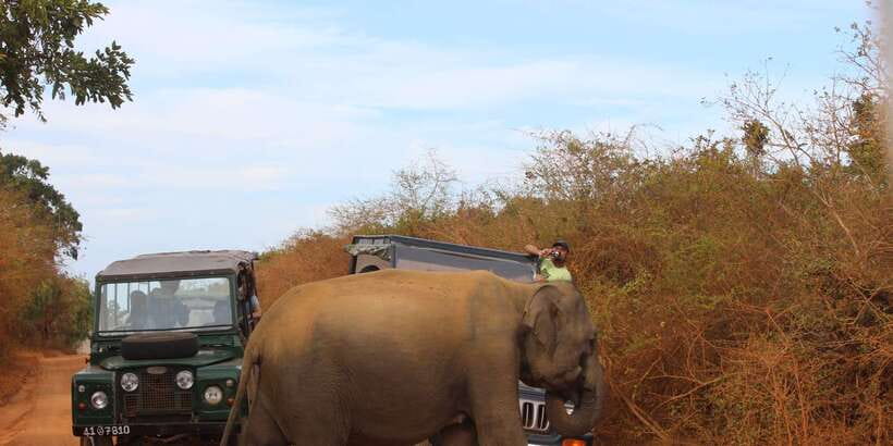 Minneriya: Private Jeep Safari From Trincomalee - Entering Minneriya National Park