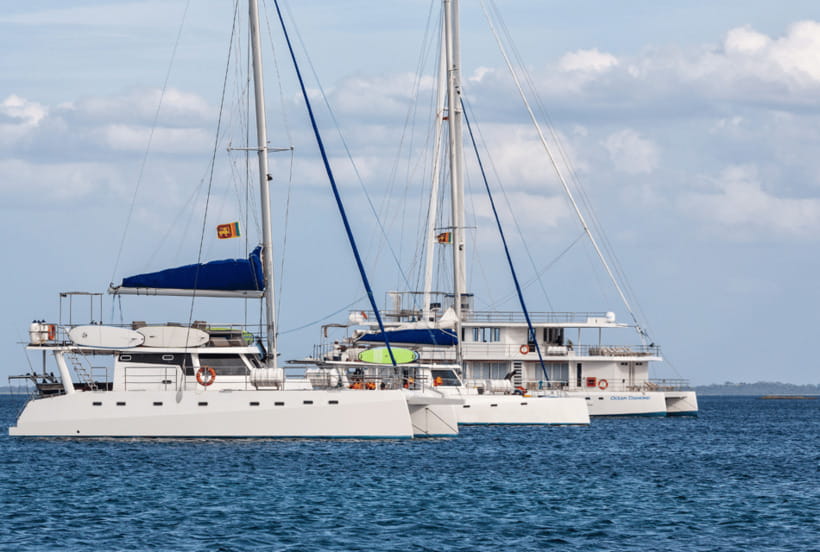 Mirissa: Luxury Sailing Boat Dolphin and Whale Watching - Watching whales and dolphins in the Indian Ocean