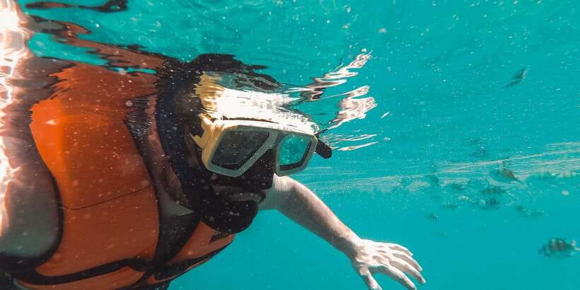 Mirissa: Snorkeling Experience with Turtles - What this Mirissa snorkeling trip is really like