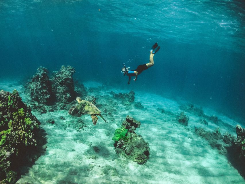 Mirissa: Snorkeling Experience with Turtles - Getting comfortable in the water