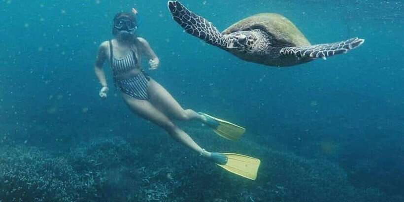 Mirissa: Snorkeling Experience with Turtles - Is $29 a fair price?