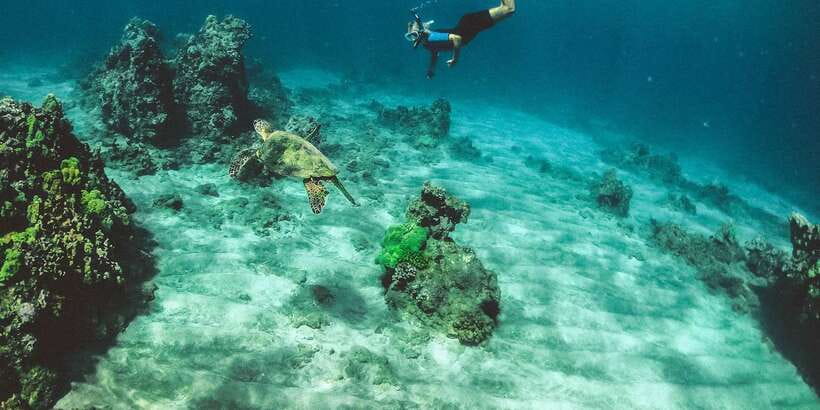 Mirissa: Snorkeling Experience with Turtles - The tuk-tuk pickup keeps the morning easy