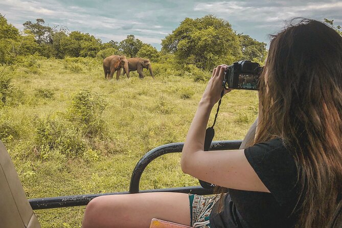 Mirissa to Ella Shuttle & Udawalawe Safari Drive with Breakfast - Why this coast-to-hills route makes sense
