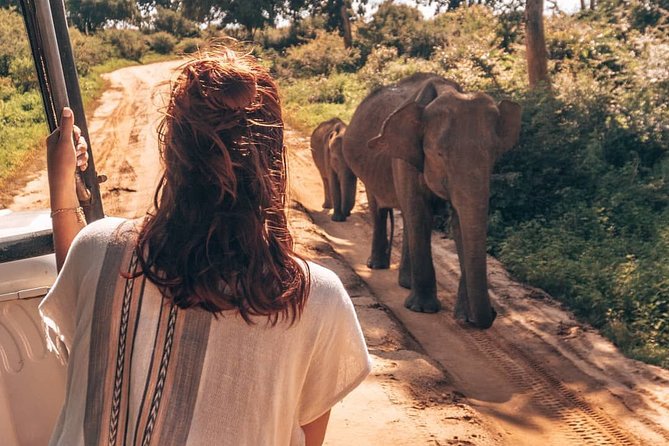 Mirissa to Ella Shuttle & Udawalawe Safari Drive with Breakfast - Udawalawe National Park and its open wildlife country