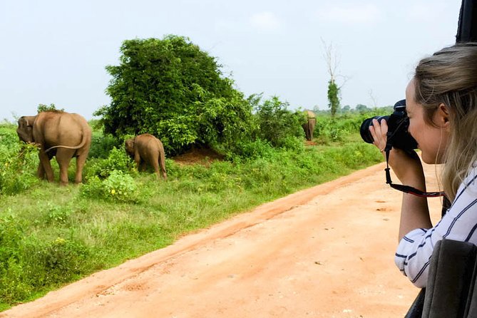Mirissa to Ella Shuttle & Udawalawe Safari Drive with Breakfast - What the 4x4 safari feels like in practice