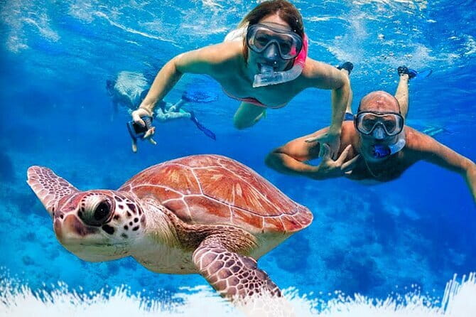 Mirissa Unforgettable Snorkeling Experience with Turtles - Key things to know before you book