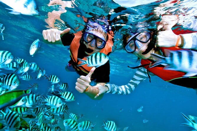Mirissa Unforgettable Snorkeling Experience with Turtles - What the marine life is really like