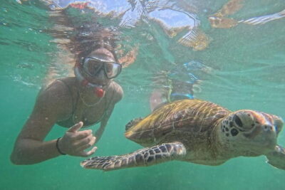 Mirissa Unforgettable Snorkeling Experience with Turtles