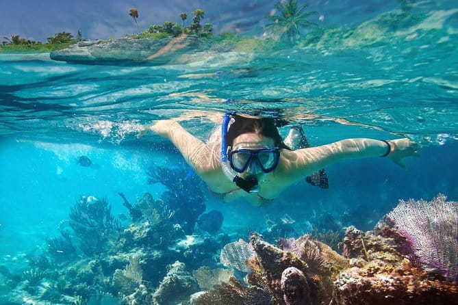 Mirissa Unforgettable Snorkeling Experience with Turtles - Practical tips for a better swim