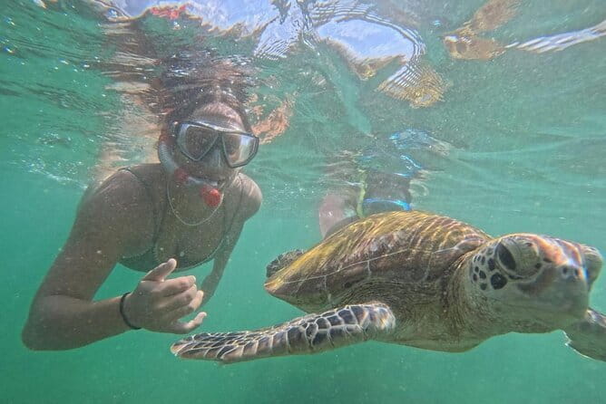 Mirissa Unforgettable Snorkeling Experience with Turtles - Entering the water with turtles