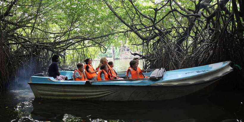 Mirissa/Weligama/Galle: Galle & Bentota Coastal Day Tour - Lunch in Hikkaduwa or Galle