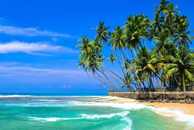 Mirissa/Weligama to Colombo Airport Private Taxi Transfer - What the three-hour journey is really like
