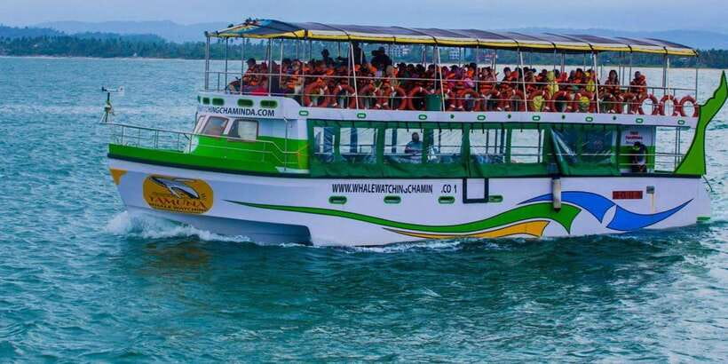 Mirissa: Whale & Dolphin Watching Cruise with Breakfast - A larger boat means more space, but slower viewing