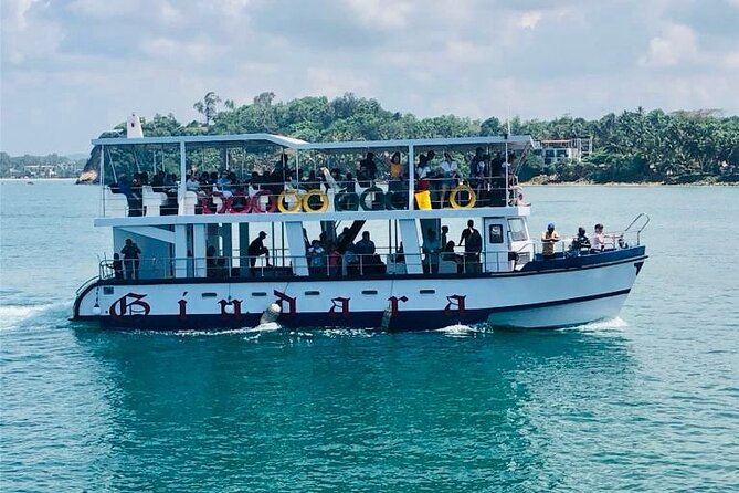 Mirissa Whale & Dolphin Watching Cruise with Geeth’s Crew - Key points to know before you book