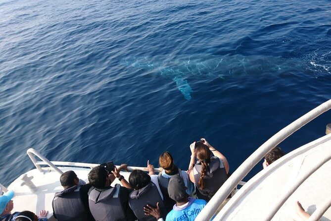 Mirissa Whale & Dolphin Watching Cruise with Geeth’s Crew - Three to four hours searching the Mirissa Sea