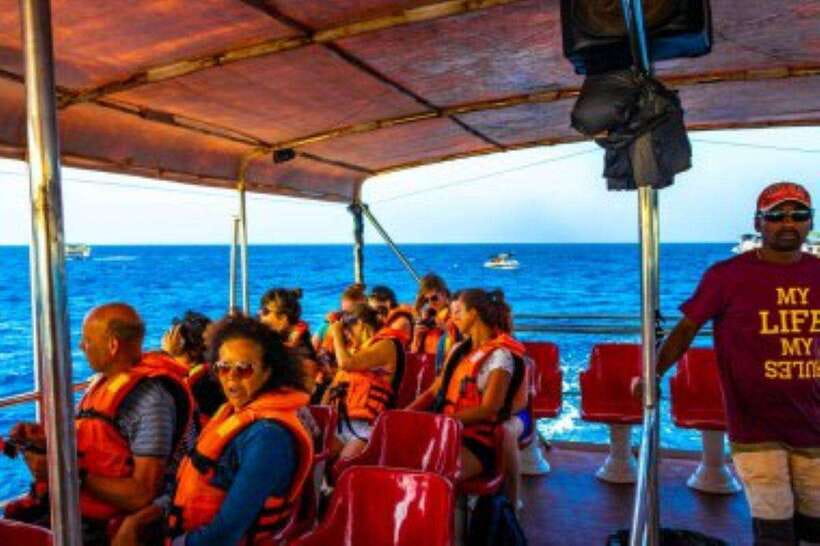 Mirissa: Whale Watching Cruise - Key things to know before you book