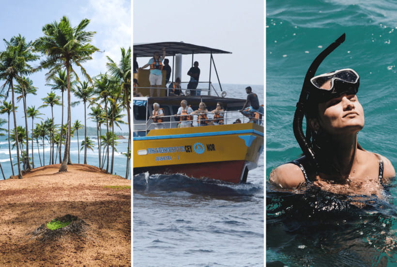 Mirissa: Whale Watching, Snorkeling, and Coconut Hill Tour - Is $189 per person good value?